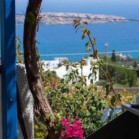 Aloe Paros Suites And Studios Drios Bagian luar foto
