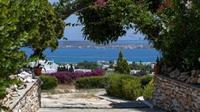 Aloe Paros Suites And Studios Drios Bagian luar foto
